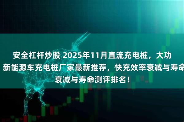 安全杠杆炒股 2025年11月直流充电桩，大功率充电桩，新能源车充电桩厂家最新推荐，快充效率衰减与寿命测评排名！