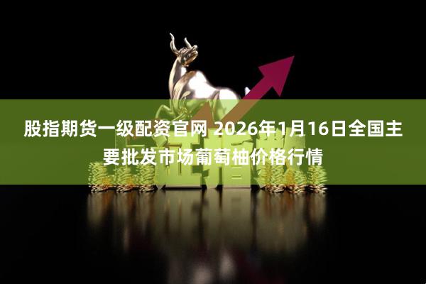 股指期货一级配资官网 2026年1月16日全国主要批发市场葡萄柚价格行情